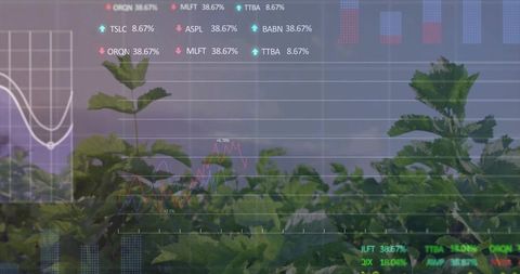 Augmented reality farming hud over young seedlings showing growth data and analytics