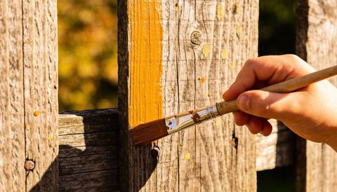 Hand Painting Weathered Wood Fence With Mustard Yellow Paint Using Flat Brush