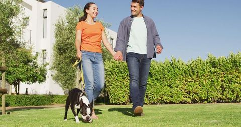 Happy couple enjoying a walk with their dog on a sunny day