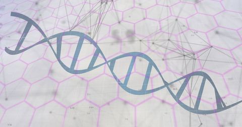 Digital dna with abstract hexagons and network connections
