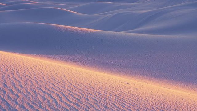 Sunlit Sand Dunes Bathing in Warm Glow with Rippling Ridges and Soft Shadows