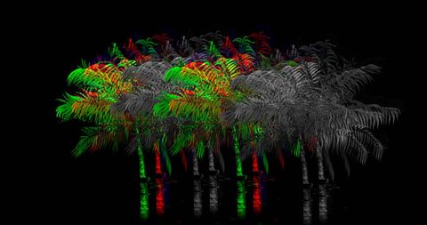 Multicolored Distorted Palm Trees in Abstract Vector Art - Download Free Stock Images Pikwizard.com
