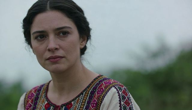 Woman wearing embroidered boho blouse in meadow under overcast sky showing stud earrings