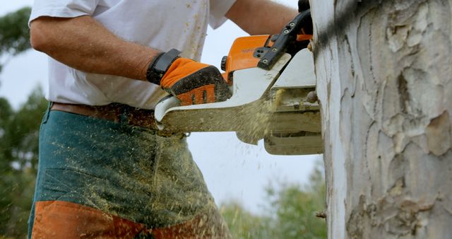 Lumberjack Using Chainsaw to Cut Tree Trunk Outdoors - Download Free Stock Images Pikwizard.com