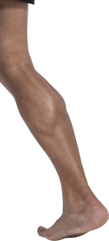 muscular male leg flexing transparent background - Download Free Stock Videos Pikwizard.com
