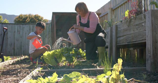 Senior biracial grandmother and grandson watering plants in sunny garden. Family, togetherness, nature, gardening and lifestyle, unaltered.