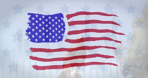 American Flag Stars and Stripes with Contemplative Eagle Design