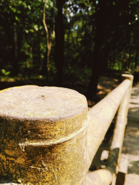 This image captures a close-up of a wooden fence post in a sunlit forest, offering a detailed view of natural textures and emphasizing a rustic outdoor setting. Ideal for nature-related websites, blogs on rustic design, photography focused on natural elements, and promotion of outdoor or forest activities.