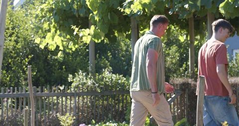 Two young men walking through sunlit garden by picket fence and grapevine trellis