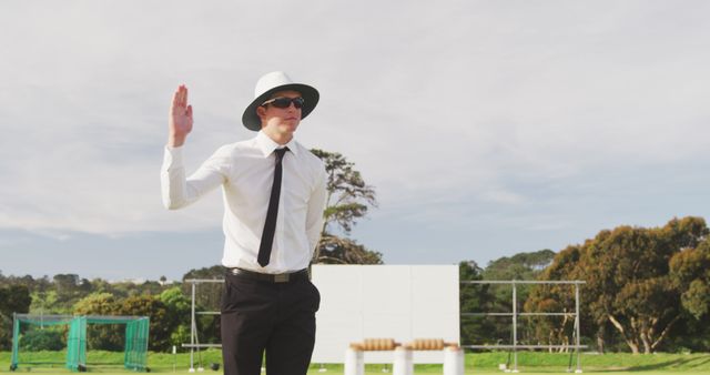 Umpire on Cricket Field Signalling Out Decision in Bright Daylight - Download Free Stock Images Pikwizard.com