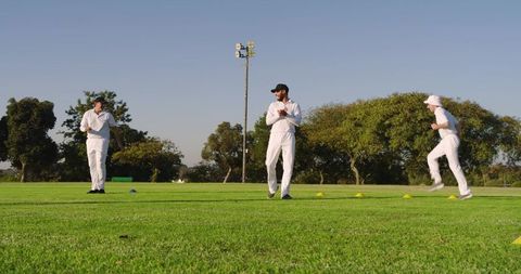 Cricket teammates practicing on sunlit outfield with cones coach guiding fielding drills