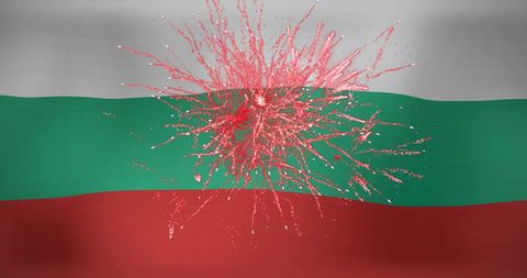 Fireworks exploding over bulgarian flag for celebration