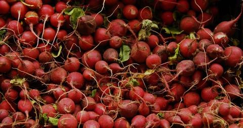 Abundant Red Radishes Piled in Market, Roots and Leaves Intact