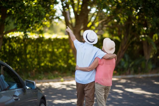 Senior couple embracing and pointing while enjoying leisure time outdoors. Ideal for use in retirement lifestyle promotions, senior living advertisements, and content related to outdoor activities for the elderly.