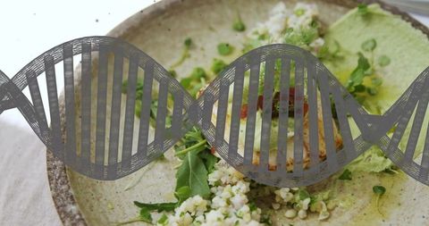 Vegetarian Cuisine with Grain Salad and Green Sauce