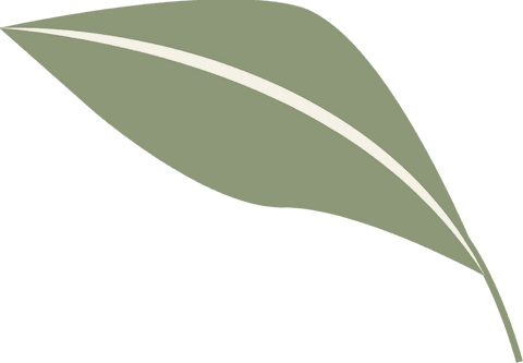 Transparent green leaf with minimalist design