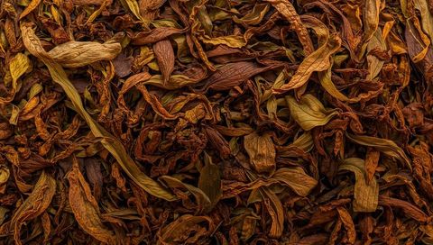 Autumnal dried leaves texture carpet closeup revealing veined details and earthy tones