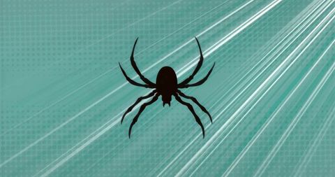Ornate Spider Silhouette Vector on Dynamic Teal Background