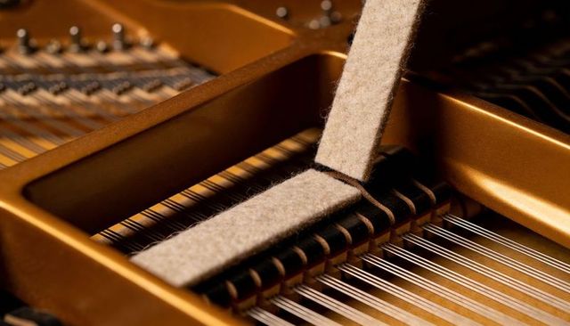 Closeup of grand piano interior featuring felt damper strip, steel strings and gold plate