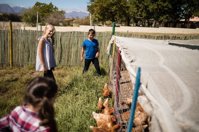 Children are observing chickens in a farm setting on a sunny day. This image can be used for educational materials about agriculture, family activities, rural life, or promoting outdoor learning experiences. It is ideal for websites or brochures related to farming, animal care, or children's activities.