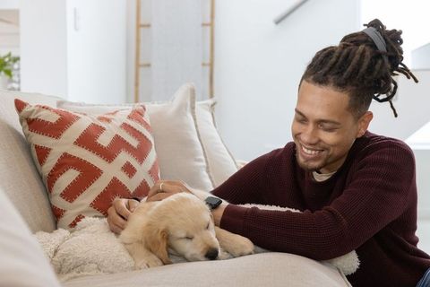 Young man petting sleeping golden retriever puppy on cozy beige sofa, lifestyle moment