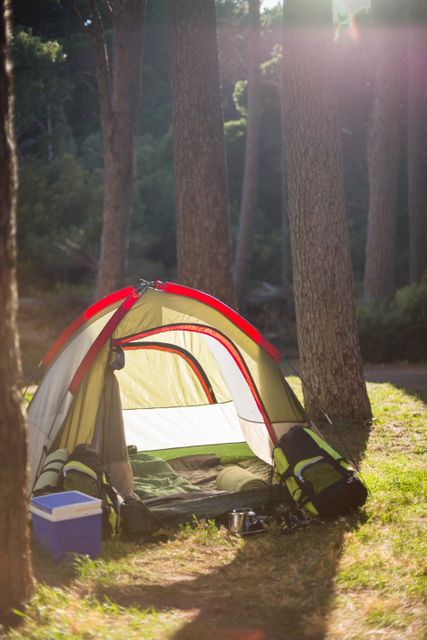 Sunlit Campsite in Forest with Tent and Gear - Download Free Stock Photos Pikwizard.com
