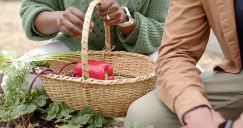 Couple harvesting homegrown vegetables holding wicker basket with red pepper, carrots, ring, smartwa