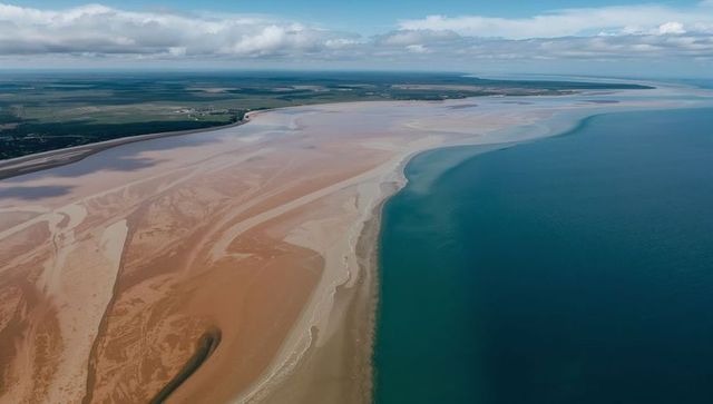 Aerial coastline showing curving sandy tidal flats and meandering sandbars at low tide