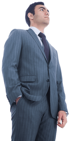 Confident Biracial Businessman Standing Transparent Background