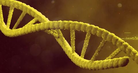 macro close-up of yellow dna strand with combust everything from gloss - Download Free Stock Images Pikwizard.com