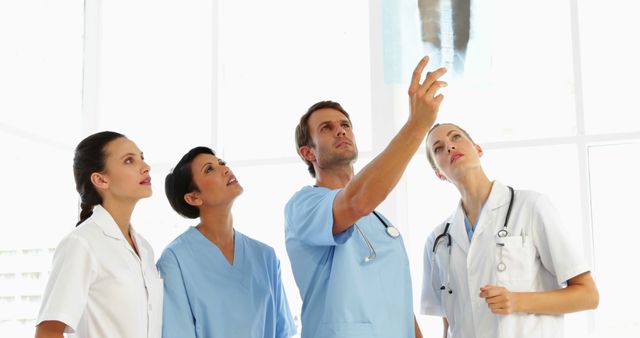 Team of Medical Professionals Analyzing X-Ray in Hospital - Download Free Stock Images Pikwizard.com