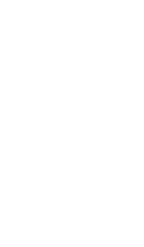 white spider and web on transparent background for halloween designs - Download Free Stock Videos Pikwizard.com