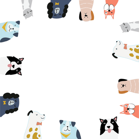 whimsical dog border on transparent canvas perfect for creative projects - Download Free Stock Videos Pikwizard.com