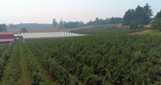 Aerial View of Orchard and Greenhouses in Rural Landscape - Download Free Stock Images Pikwizard.com