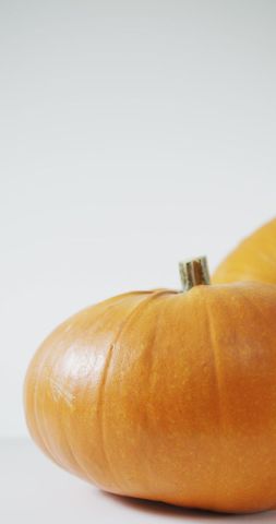 Vertical photograph of two pumpkins on a white background - Download Free Stock Images Pikwizard.com