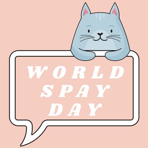 cartoon cat promoting world spay day awareness - Download Free Stock Templates Pikwizard.com