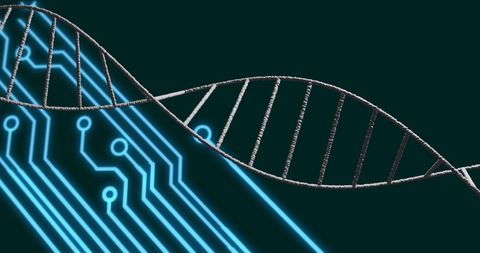 DNA Helix Overlaying Circuit Board Texture in Tech Concept - Download Free Stock Images Pikwizard.com