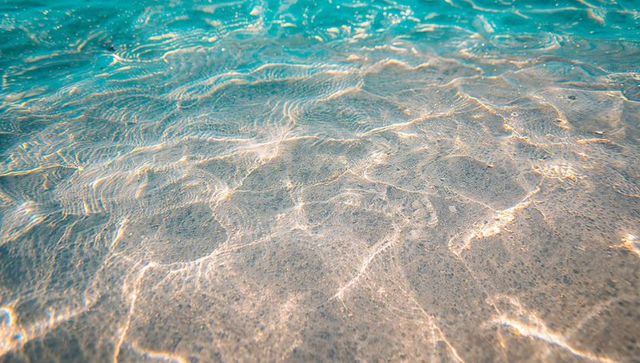 Shimmering shallow seabed with turquoise caustic light patterns and sandy nearshore texture