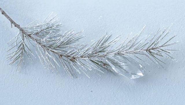 Resting frosted pine branch with clear crystal prism on pale blue surface, winter decor