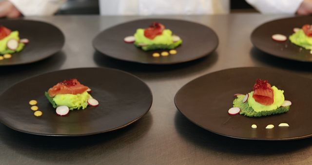Gourmet plated dishes of salmon with vibrant green sauce and garnished with radishes are presented on black plates, showcasing fine dining cuisine and culinary craftsmanship. Ideal for use in restaurant promotions, food blogs, culinary magazines, and cooking tutorials.