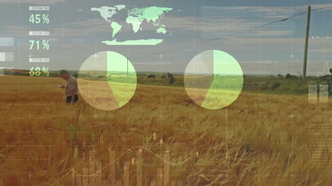 Futuristic Data Visualization in Countryside Wheat Field