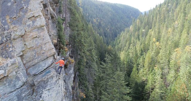 Caucasian man climbs a steep cliff outdoor. His adventure showcases the thrill of rock climbing in a forested area.