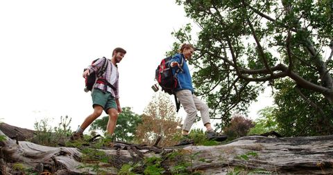 Young Men Hiking Over Fallen Tree in Wilderness - Download Free Stock Images Pikwizard.com