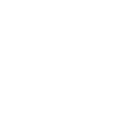 White Flower Pattern on Black Transparent Background Vector Design - Download Free Stock Videos Pikwizard.com