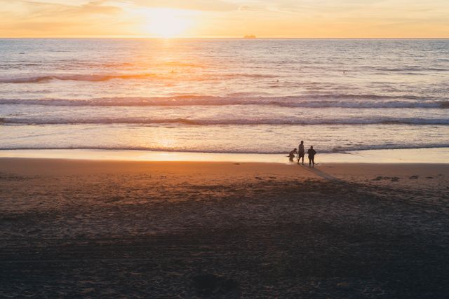 Silhouettes of People Enjoying Sunset on Beach - Download Free Stock Photos Pikwizard.com