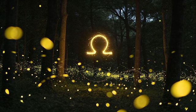 Glowing omega sparkler floating in enchanted forest with firefly bokeh and golden orbs