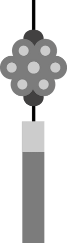 Flat showerhead with flower nozzles on transparent background modern design