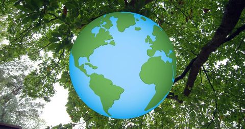 Globally united: celebrating sustainable earth ecology