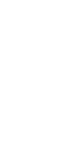 Transparent Silhouette of Businesswoman Holding Loudspeaker