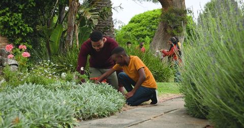 Father and Child Bonding While Gardening in Lush Outdoor Space